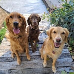 Meet your Posher, Lisa marie